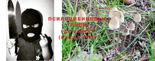 прущие крисы Бронницы