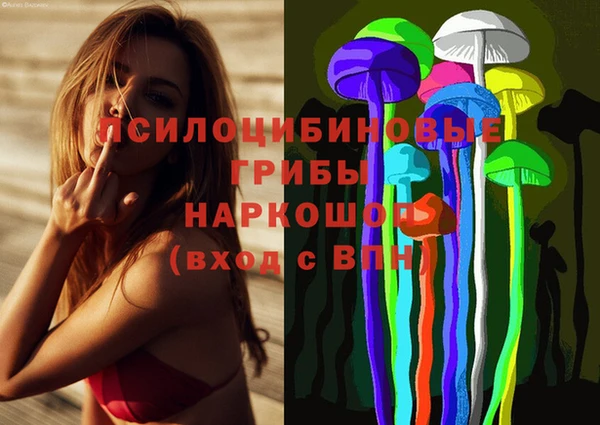 прущая мука Бородино